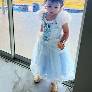 Disney Blue Princess Costume